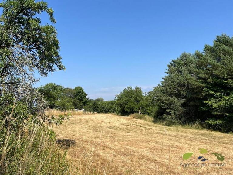 HAUTE VIENNE — photo 1