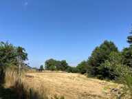 HAUTE VIENNE — photo 2