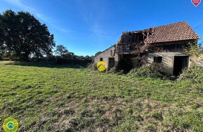 Maison + dépendance sur 1 ha — photo 3