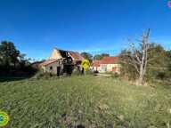 Maison + dépendance sur 1 ha — photo 4