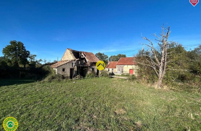 Maison + dépendance sur 1 ha — photo 4