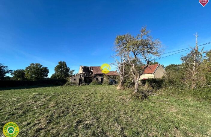 Maison + dépendance sur 1 ha — photo 5