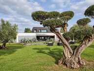 Maison contemporaine d’exception – 270 m², piscine et jardin — photo 2