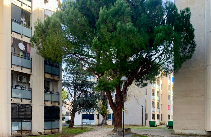 Type 4 - AVIGNON - L'AQUILON — photo 3