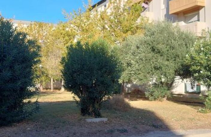 T4 - AVIGNON - L'OSERAIE — photo 2