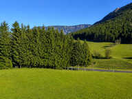 SAINT JULIEN EN VERCORS — photo 2
