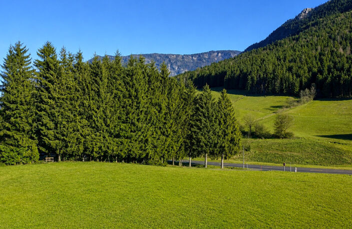 SAINT JULIEN EN VERCORS — photo 2