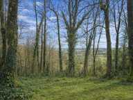 Maison Le Mene Bel environnement — photo 3