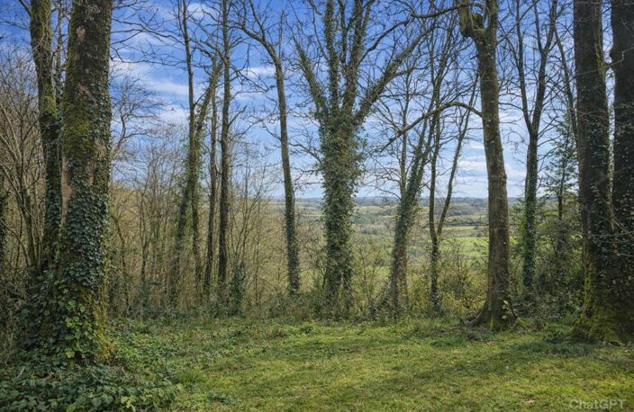 Maison Le Mene Bel environnement — photo 3