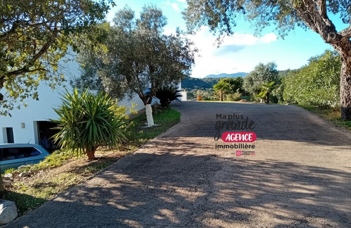Maison T6  avec piscine - Sainte Lucie De Porto Vecchio  20144 - Corse du Sud  - FRANCE — photo 4