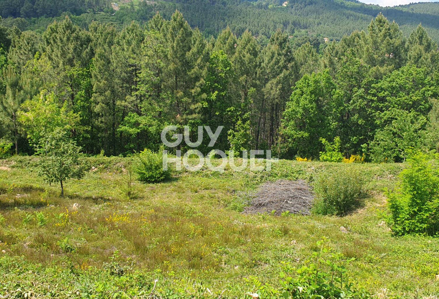 Magnifique parcelle constructible sur Mercuer — photo 1