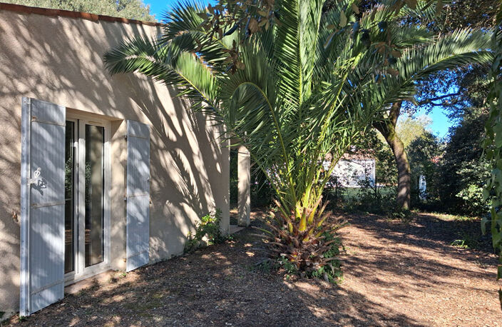 VILLA EN BORD DE MER - UN CADRE PRIVILÉGIÉ AU C?UR DES DUNES — photo 3