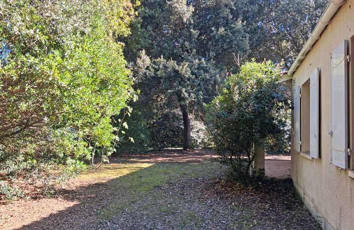VILLA EN BORD DE MER - UN CADRE PRIVILÉGIÉ AU C?UR DES DUNES — photo 4