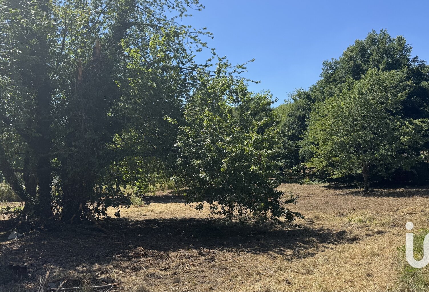 Vente Terrain 2 003 m&sup2; — photo 1