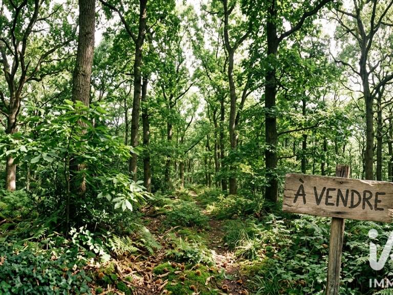 Vente Terrain 6 700 m&sup2; — photo 1