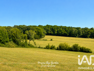 Vente Terrain à bâtir 8 810 m&sup2; — photo 3