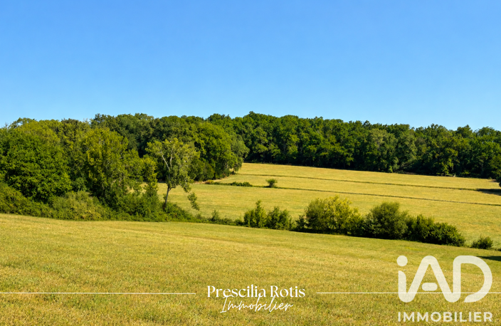 Vente Terrain à bâtir 8 810 m&sup2; — photo 3