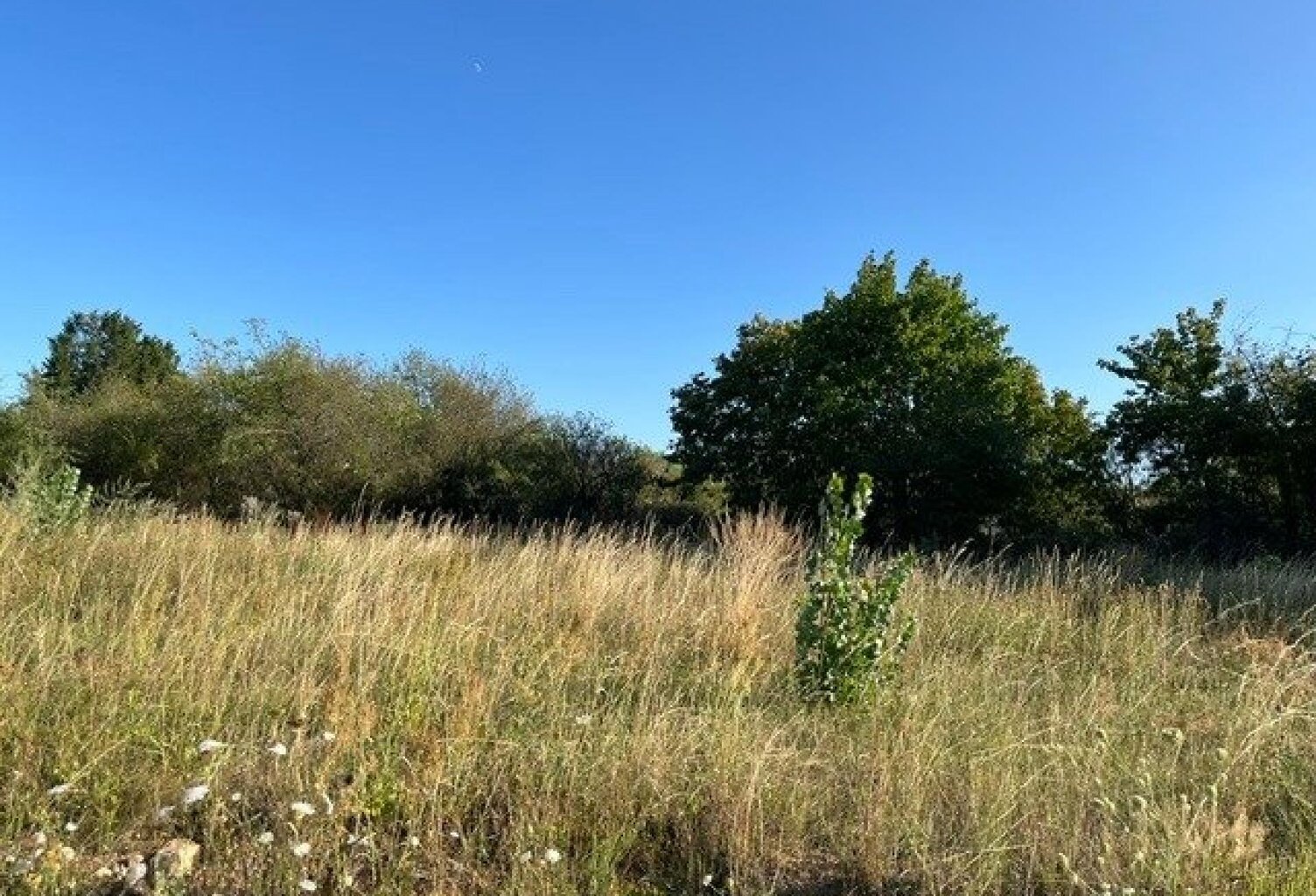 CERNAY  Terrain viabilisé de 330 m² dans un nouveau lotissement — photo 1
