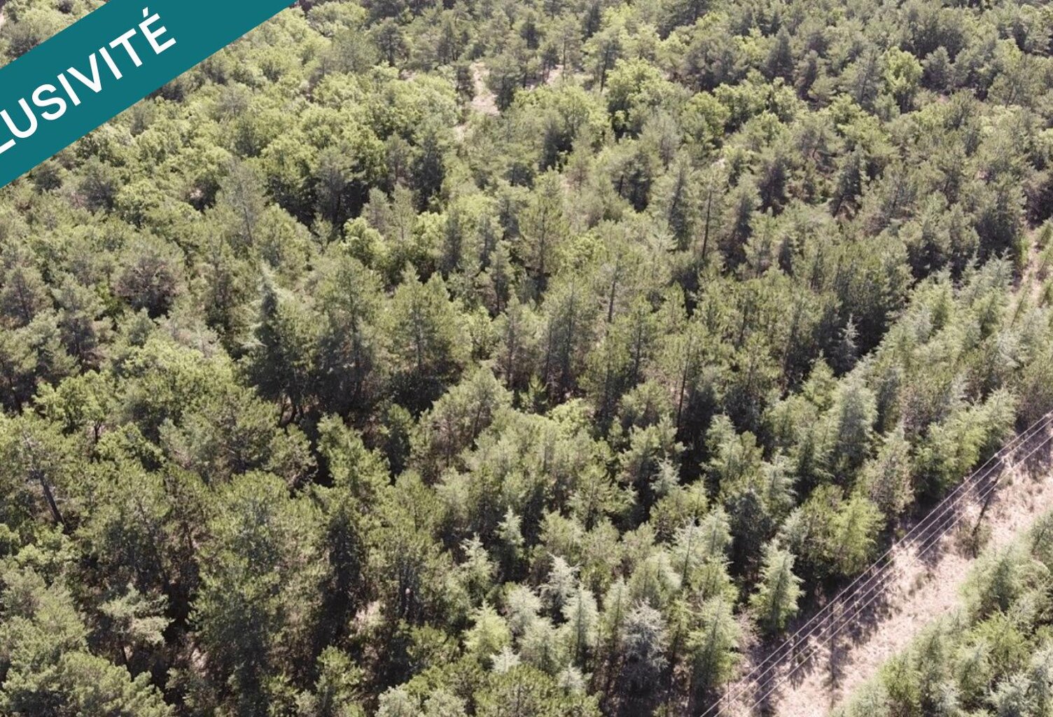 Forêt labellisée ECOCERT avec plan de gestion simple — photo 1