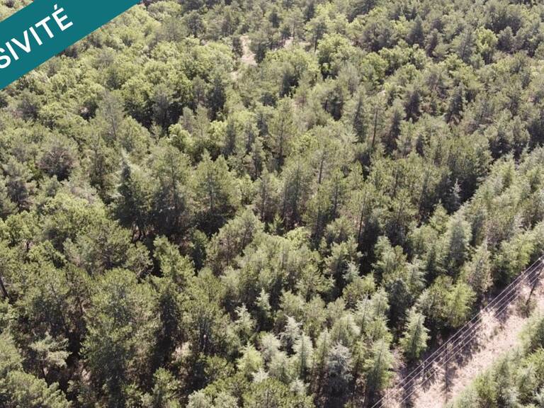 Forêt labellisée ECOCERT avec plan de gestion simple — photo 1