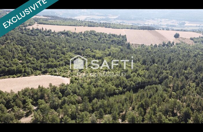 Forêt labellisée ECOCERT avec plan de gestion simple — photo 2