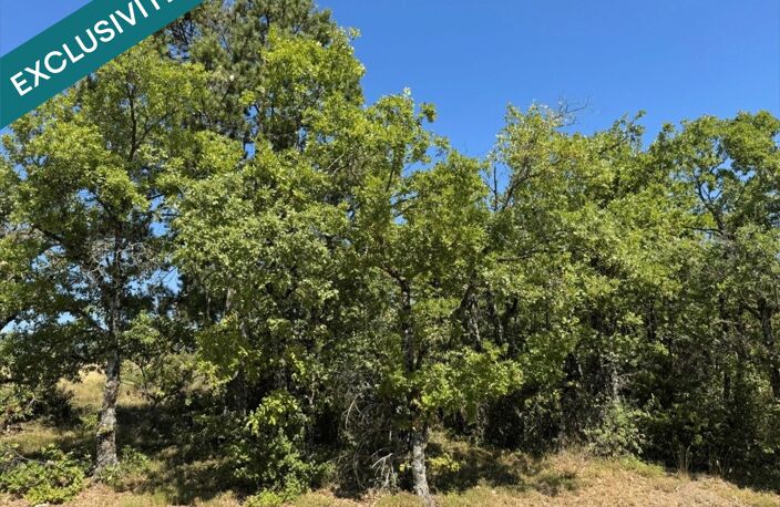 Forêt labellisée ECOCERT avec plan de gestion simple — photo 3