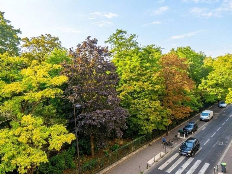 PARIS 19E  Appartement de 40,8 m² rénové par architecte  Vue sur les Buttes-Chaumont — photo 1