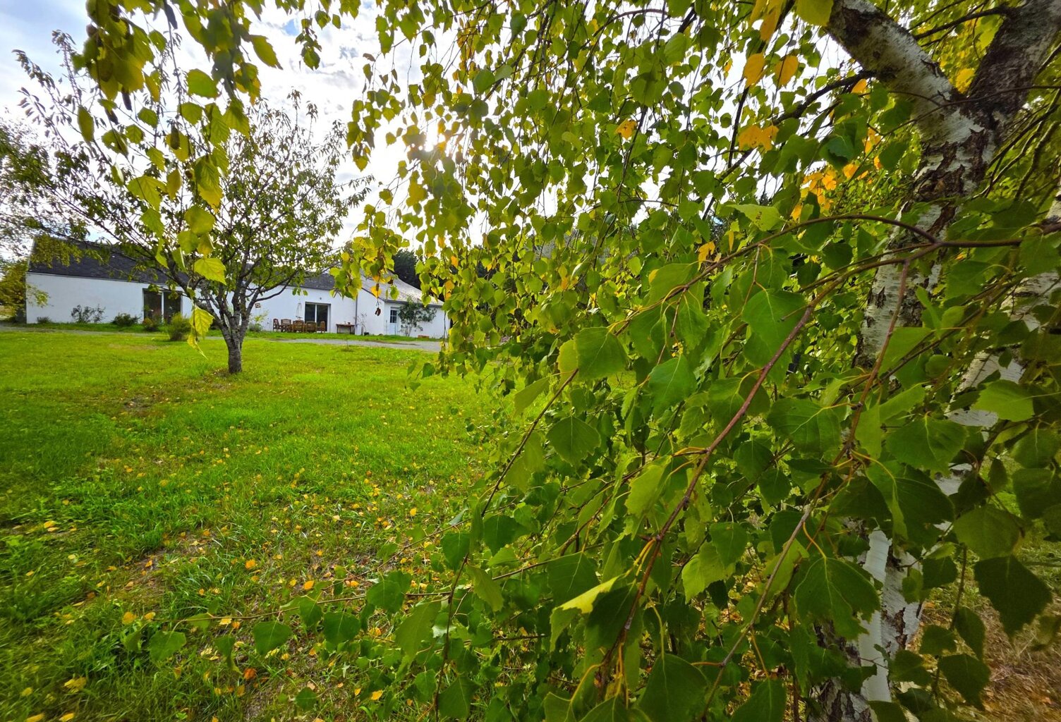 longère de charme ses dépendances, et ses 7000m² de terrain — photo 1