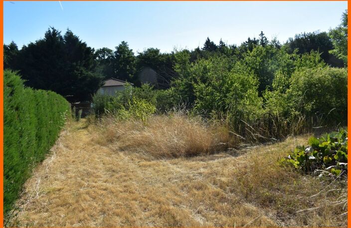 Terrain — photo 2