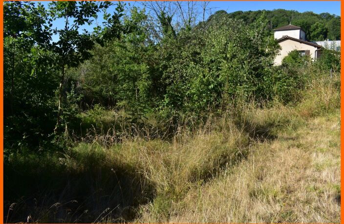 Terrain — photo 3