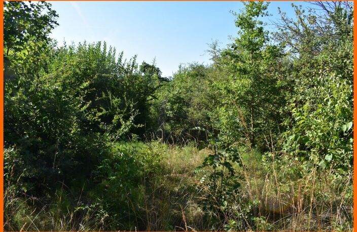 Terrain — photo 2