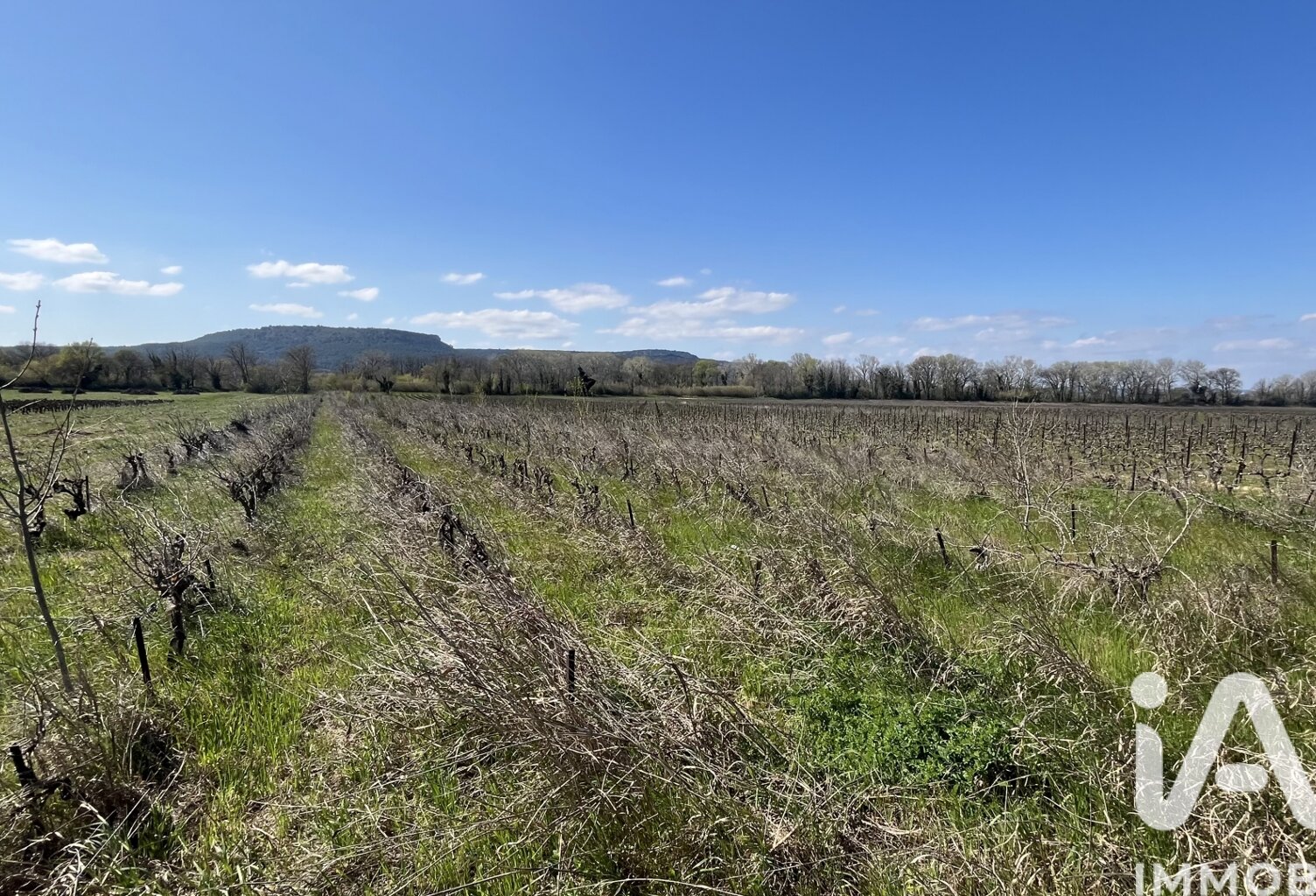 Vente Terrain agricole 5 158 m&sup2; — photo 1