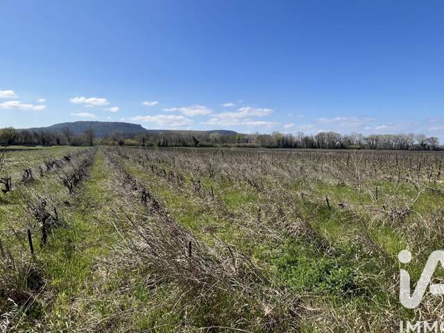 Vente Terrain agricole 5 158 m&sup2; — photo du bien