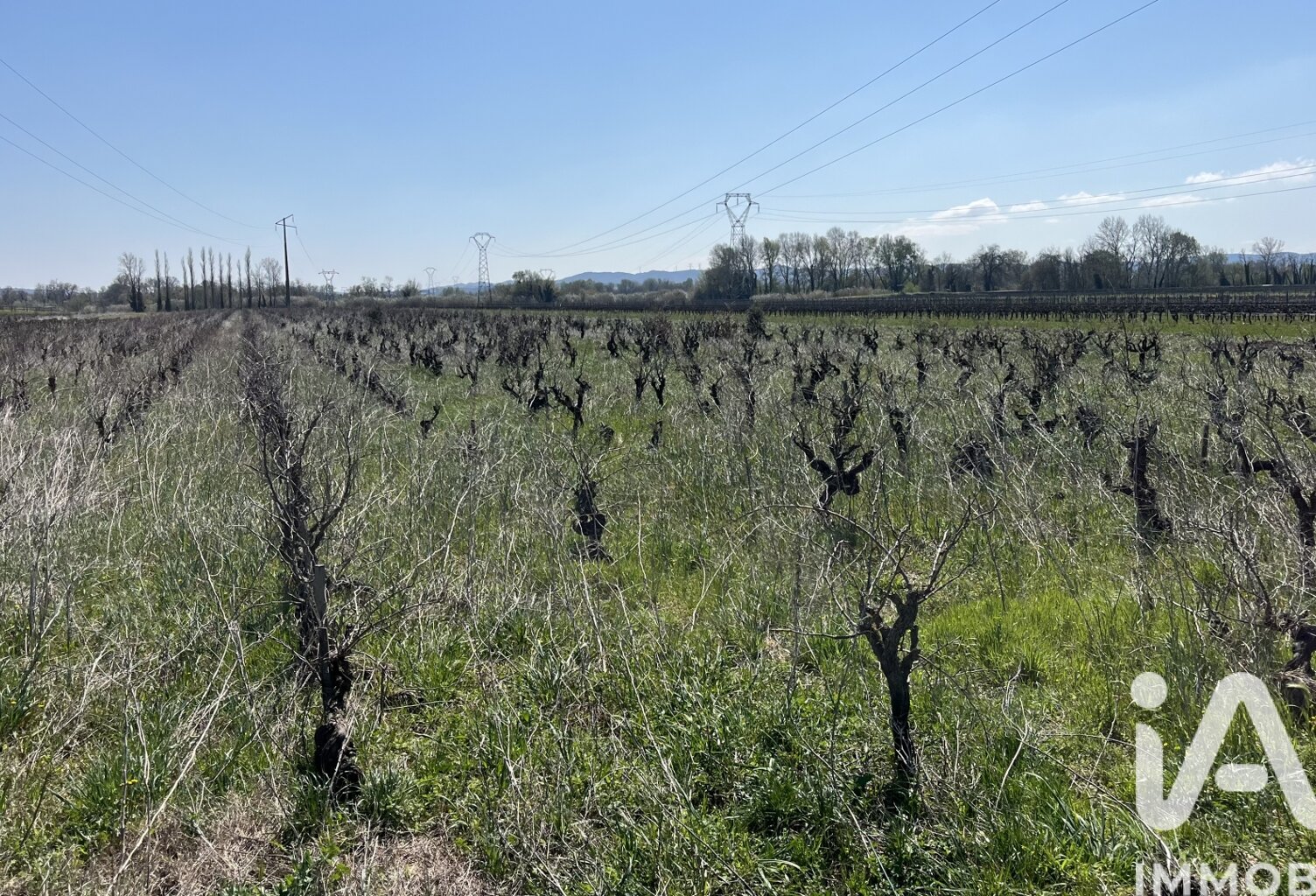 Vente Terrain agricole 5 160 m&sup2; — photo 1