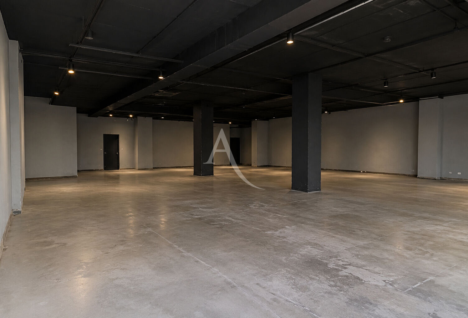 Toulouse centre ville, local d'activité 250m2 — photo 1
