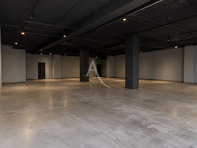 Toulouse centre ville, local d'activité 250m2 — photo du bien