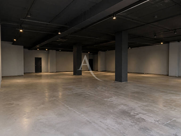 Toulouse centre ville, local d'activité 250m2 — photo 1