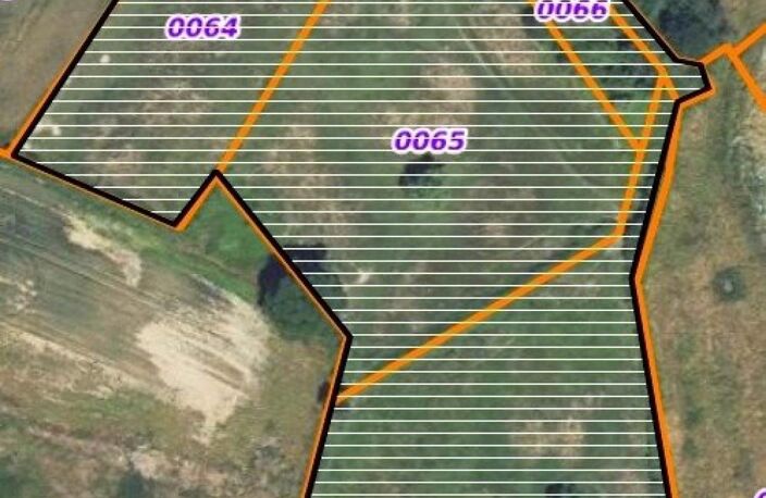 Écrin de verdure & potentiel d'exception : Ensemble immobilier de charme sur plus de 2 hectares à Lalizolle — photo 3