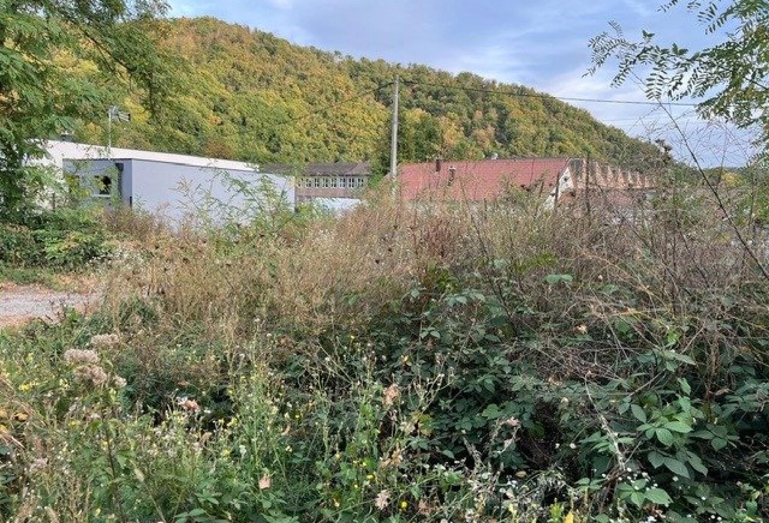 THANN  TERRAIN À BÂTIR DE 535 M² — photo 1