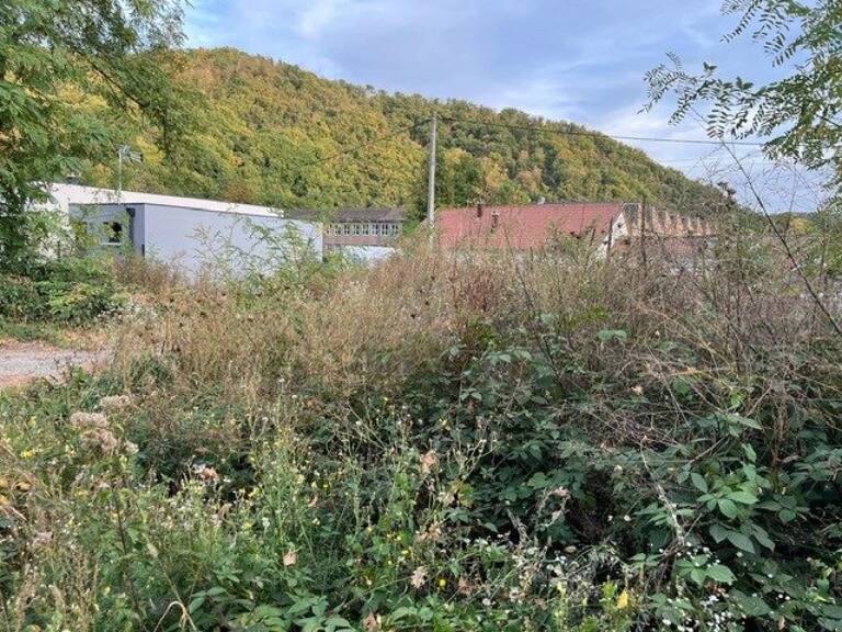 THANN  TERRAIN À BÂTIR DE 535 M² — photo 1