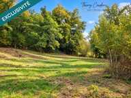 BEAU TERRAIN DE 7 600 M² AUX PORTES DE GOURDON — photo 3