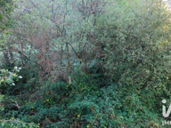 Vente Terrain à bâtir 740 m&sup2; — photo 4