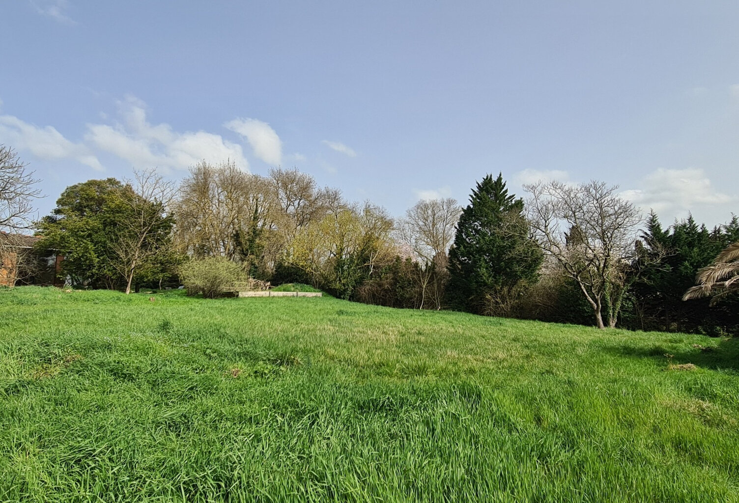TERRAIN 1807 M2 — photo 1