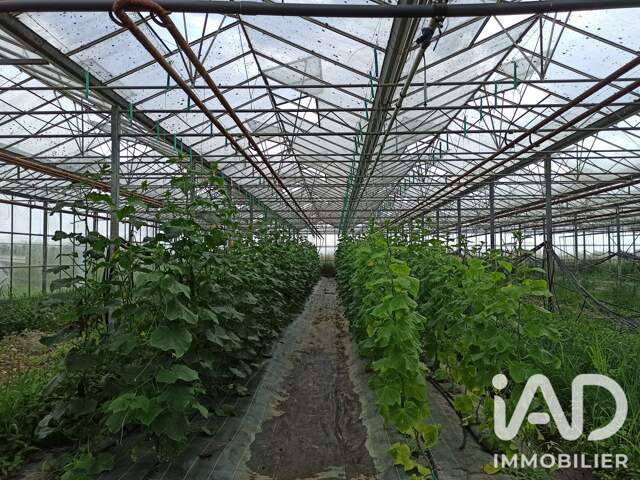 Vente Boutique/Local commercial 91 436 m&sup2; — photo du bien