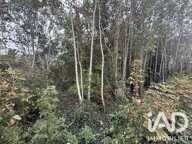 Vente Terrain à bâtir 2 268 m&sup2; — photo 3