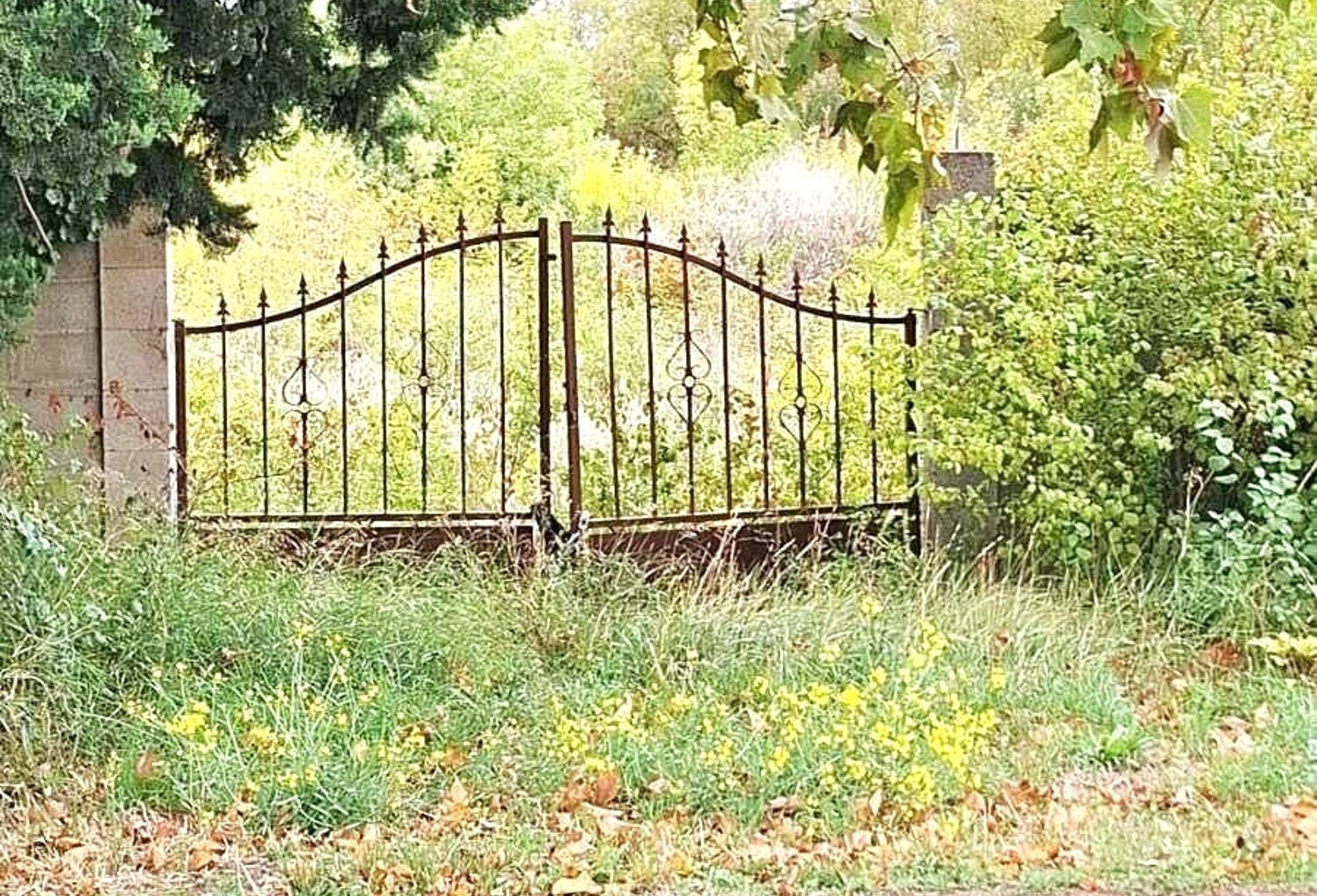 Vente Terrain agricole 1 750 m&sup2; — photo 1