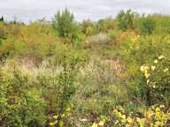 Vente Terrain agricole 1 750 m&sup2; — photo 4