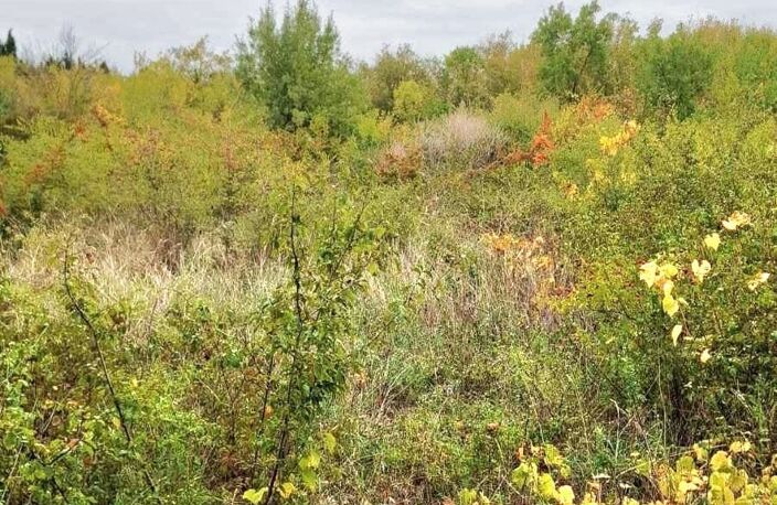 Vente Terrain agricole 1 750 m&sup2; — photo 4