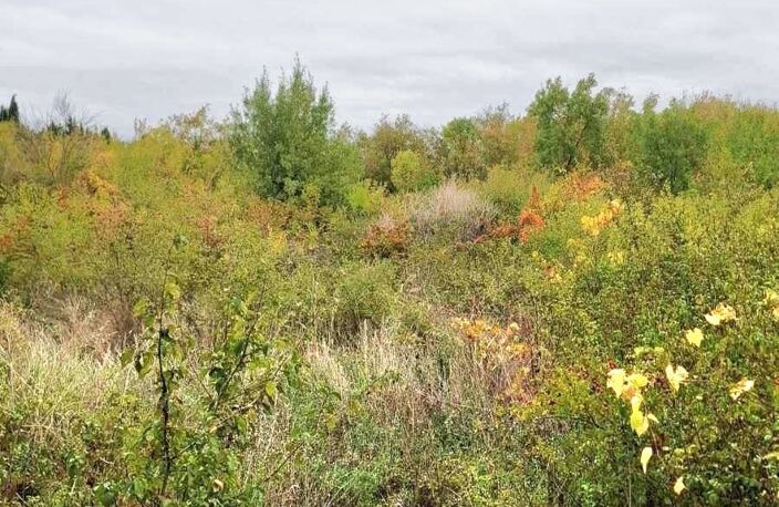 Vente Terrain agricole 1 750 m&sup2; — photo 5