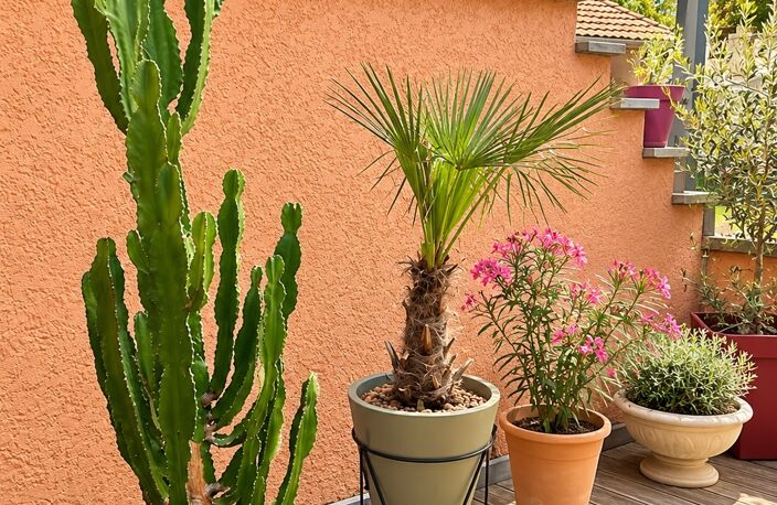 Vente Maison/villa 4 pièces — photo 5